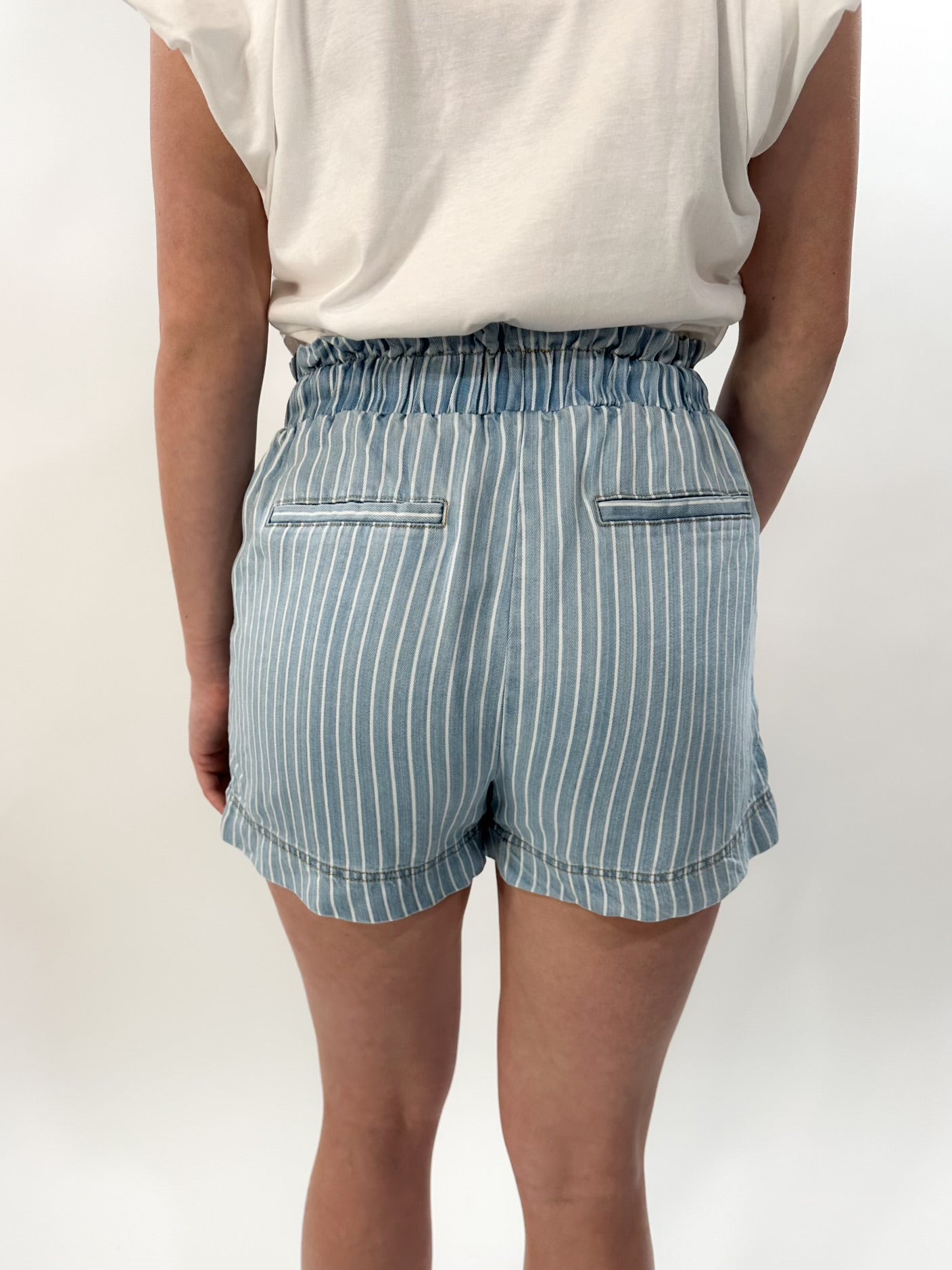 Pinstripe Chambray Shorts