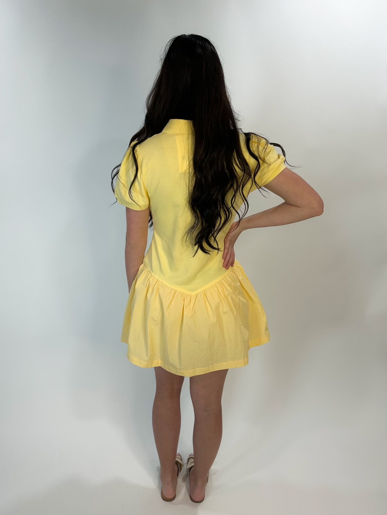 Yellow Love Bird