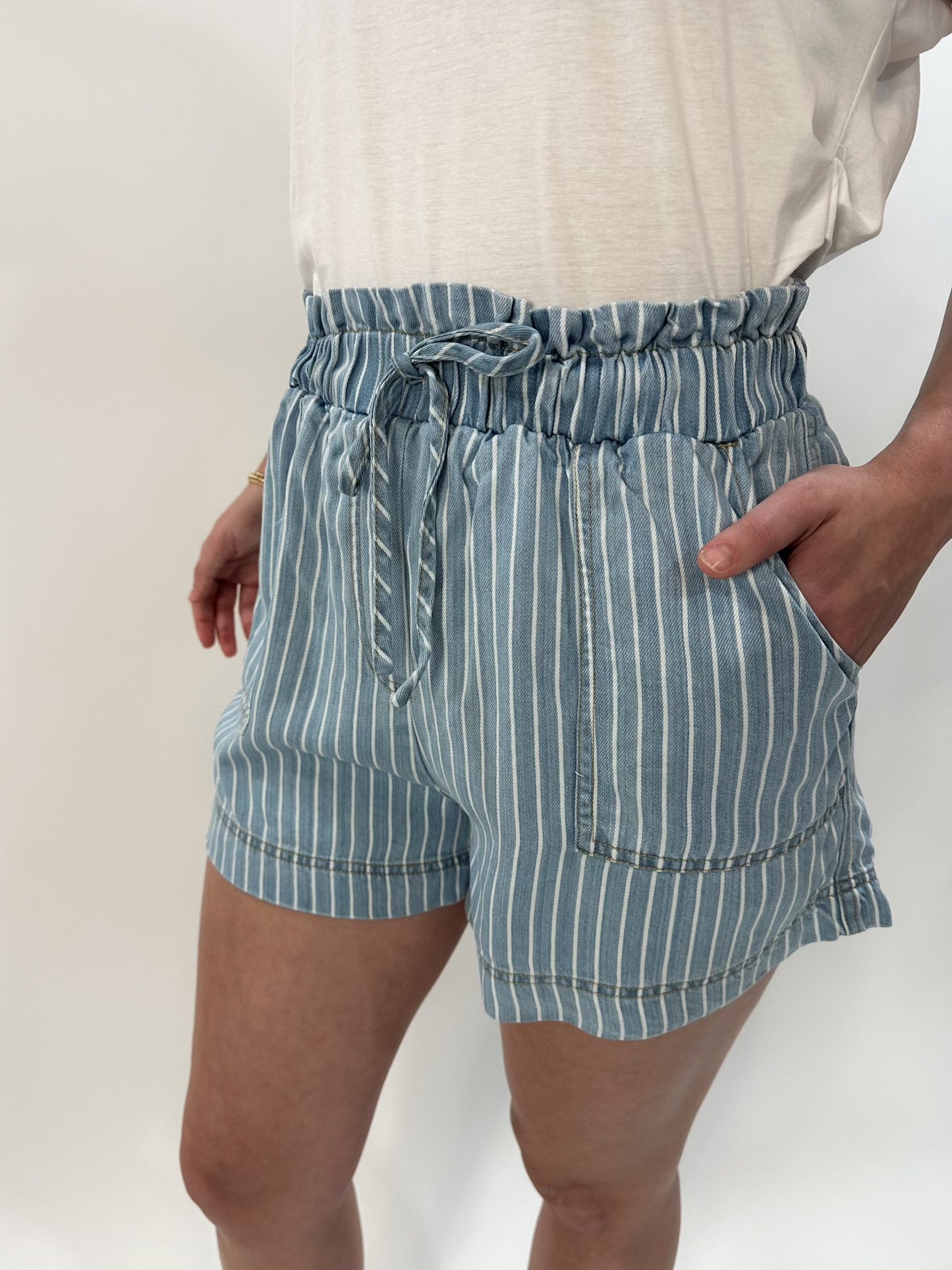Pinstripe Chambray Shorts