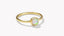 Kendra Scott Davie Band Ring