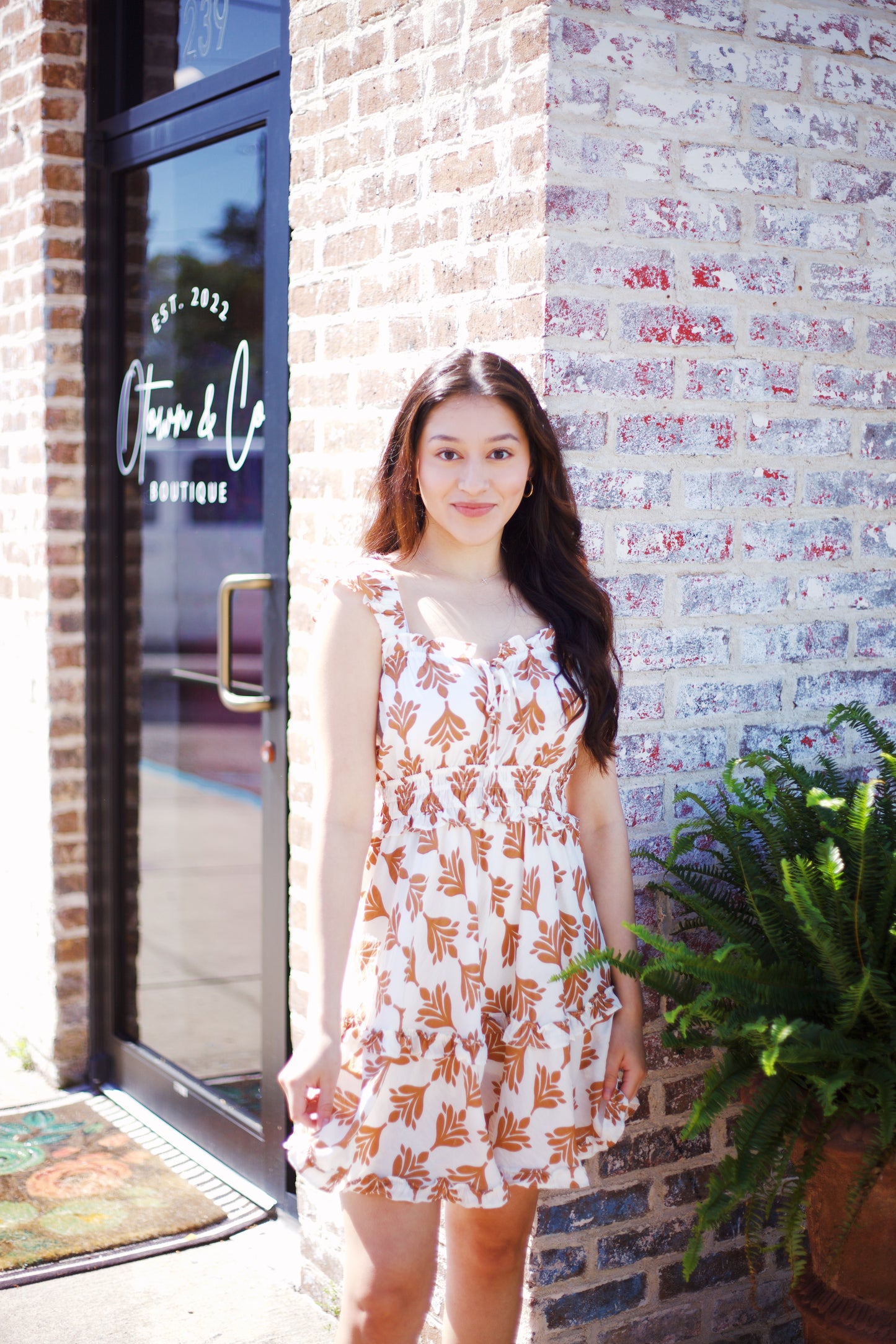 BROWN AND CREAM DRESS