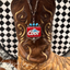 Trail Boss Statement Necklace