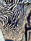 Navy Zebra Set