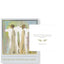 Anne Neilson - Friendship Scripture Cards