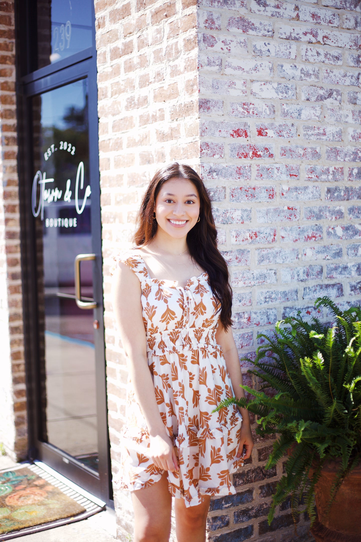 BROWN AND CREAM DRESS