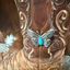 Butterfly with Turquoise Necklace