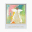 Anne Neilson - Love Scripture Cards