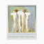 Anne Neilson - Friendship Scripture Cards