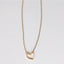 Leslie Curtis Parker Necklace