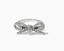Brighton Illumina Bow Ring Size 8