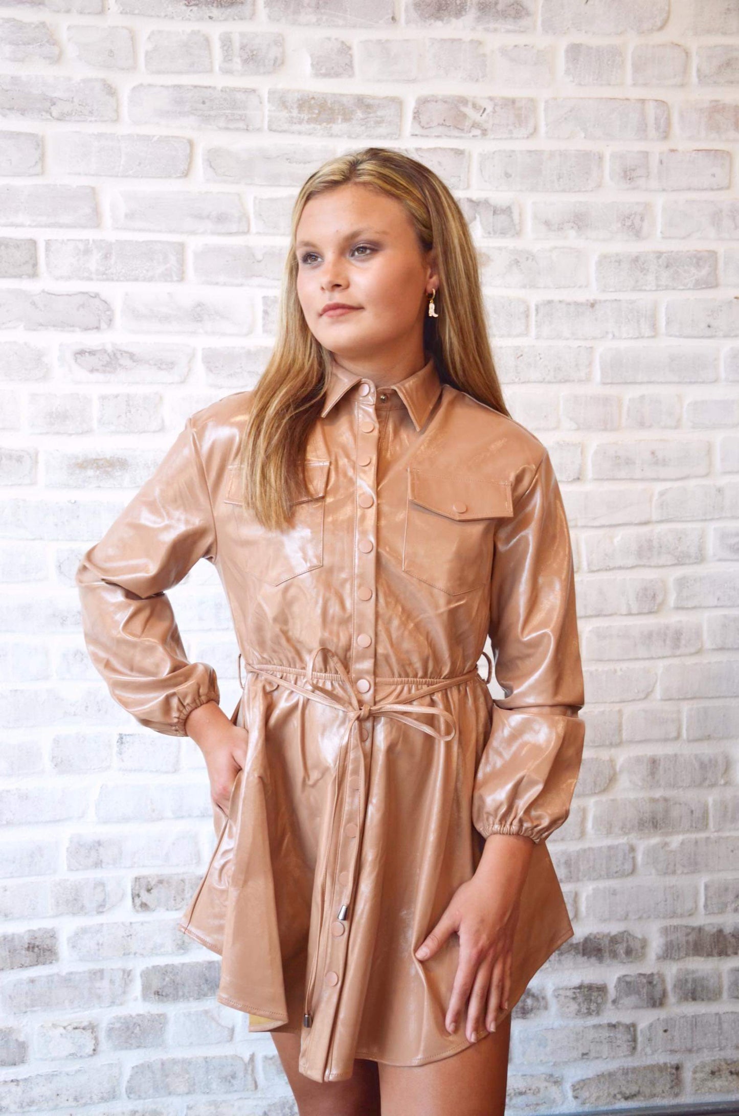 Ariella Button Up Mini Dress in Mocha